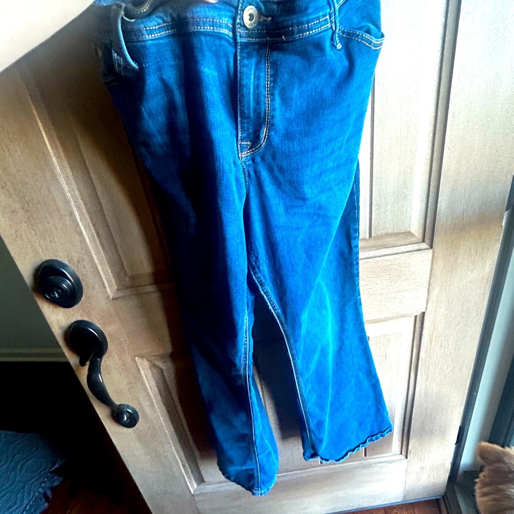 Dark Blue Skinny Jeans, size 20 Short, Torrid